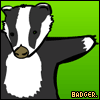Badger 2 avatar