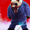 Business Panda avatar