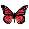 Butterfly jpg avatar