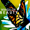 Wings of beauty avatar