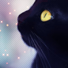 Black cat in stars avatar