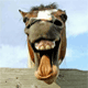 Crazy horse avatar