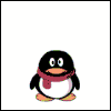 Card Penguin avatar