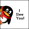 Peeking Penguin avatar