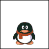 Shooting Penguin avatar