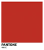 Pantone 485c avatar