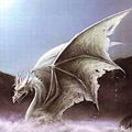 White Dragon avatar