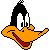 Daffy Duck's Head avatar