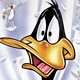 Daffy Duck 2 avatar