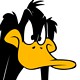 Daffy Duck avatar