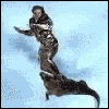 Alligator surfing avatar