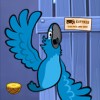 Bird from Angry Birds Rio avatar