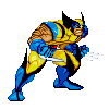 Wolverine fighter avatar