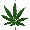 Logo Weed