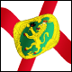 3D Alderney Flag avatar