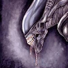 Alien Saliva avatar