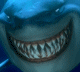 Bruce - Finding Nemo avatar