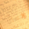 Cecilia's diary avatar
