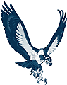Seattle Seahawks 3 avatar