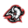 Buffalo Sabres Logo avatar