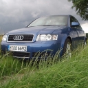 Audi On Grass avatar