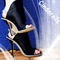 Cinderella shoes avatar