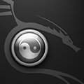 Dragon yin yang avatar