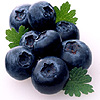 Blueberries 2 avatar