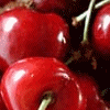 Cherries gif avatar