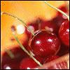 Cherries 3 avatar