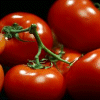Cherry Tomatoes avatar