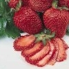 Strawberries jpg avatar