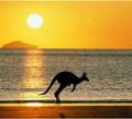 Australian beach avatar