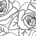 Black & white roses outline avatar