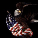 Bald Eagle USA Etc avatar