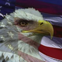 Bald Eagle And USA Flag avatar