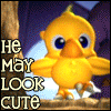 Cute killer bird avatar