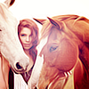 My horses avatar