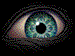 Animated Eye avatar