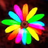Colorful flower avatar
