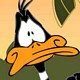 Daffy Duck Dumbstruck avatar