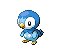 Piplup avatar
