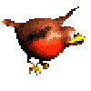 Booty bird avatar