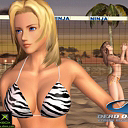 Volleyball 29_2 avatar