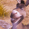 Donkey avatar