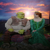Shrek and Fiona sunset avatar