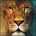 Aslan the Lion avatar