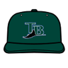 Tampa Bay Devil Rays Cap avatar