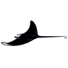 Tampa Bay Devil Rays Logo 2 avatar