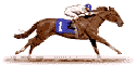 Horse riding avatar